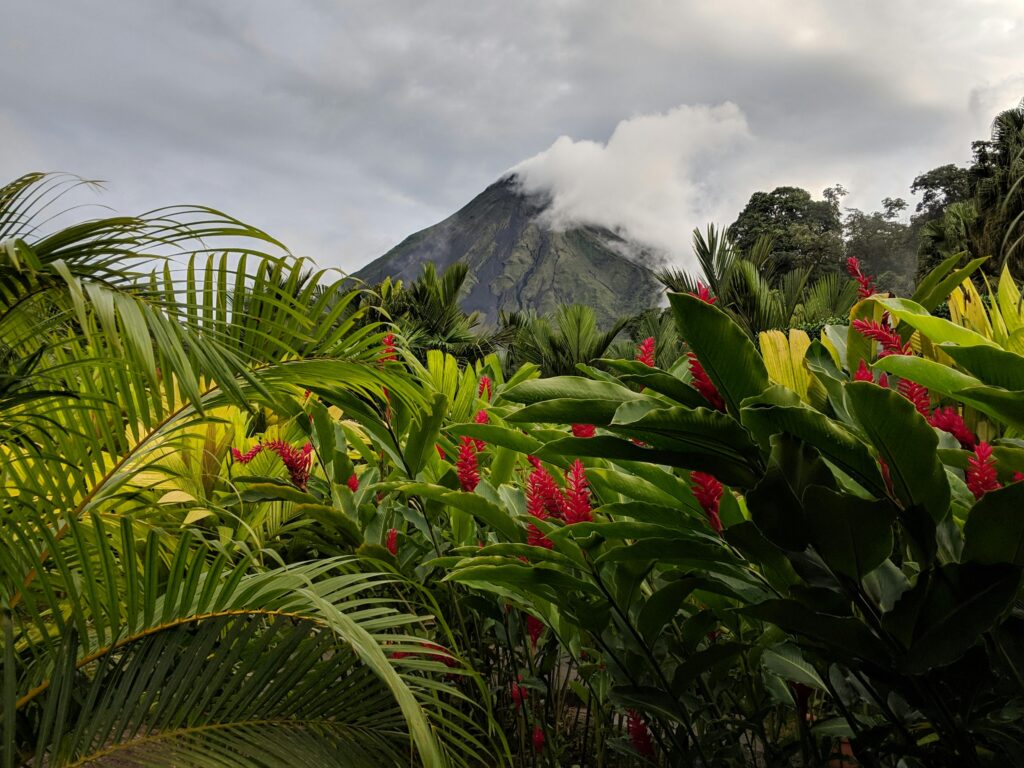 Scenic view of Arenal Volcano surrounded by vibrant rainforest and tropical flora in Costa Rica.